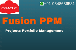 ORACLE PPM ( Projects Portfolio Management )